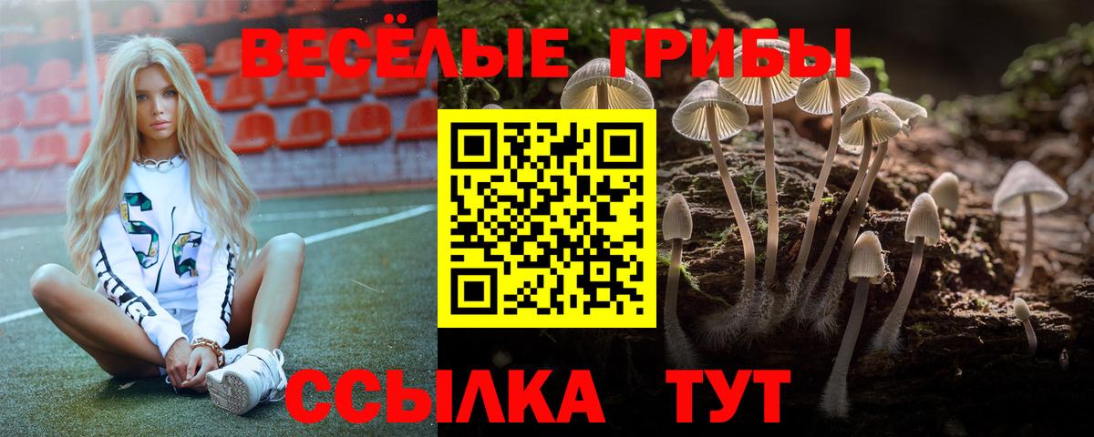 Галлюциногенные грибы мицелий Коркино